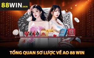Tổng quan sơ lược về nhà cái Ao 88 Win